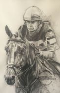 Horse Portrait Drawings